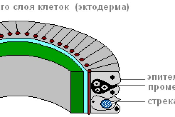 Кракен шоп это