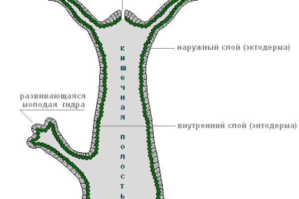 Свежие ссылки кракен